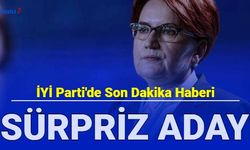 İYİ Parti'de sürpriz Cumhurbaşkanı adayı: Ersan Şen kimdir, nerelidir?