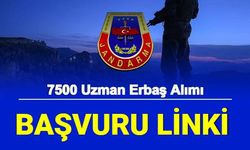 Jandarma 7500 Uzman Erbaş Alımı Başvuru Ekranı Açıldı: İşte Uzman Çavuş Kılavuzu, vatandas Pertem Başvuru Ekranı 2022