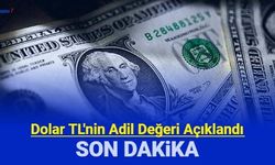 JPMorgan, Dolar TL'de adil değerin ne olduğunu açıkladı