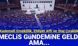 Kademeli emeklilik, ehliyet affı, staj ve çıraklık mağdurları meclis gündemine geldi ama...