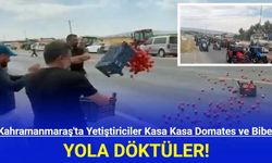 Kahramanmaraş'ta Yetiştiriciler Kasa Kasa Domates ve Biberi Yola Döktüler!