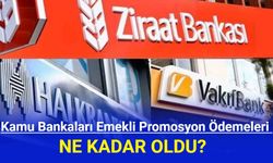 Kamu Bankaları Emekli Promosyon Ödemeleri Ne Kadar Oldu? Ağustos 2024