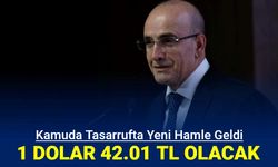 Kamuda tasarrufta yeni hamle: 1 dolar 42 TL olacak