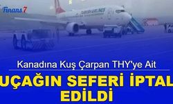 Kanadına kuş çarpan THY'ye ait uçağın seferi iptal edildi