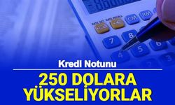 Kara Listede Olana, Kredi Notu Düşük Olana 250 Dolarla Not Yükseltme