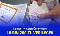 Karnesi iyi gelen, takdir teşekkür alana 10 bin 200 TL destek açıklaması: Başarı teşvik programı başvuru formu nasıl doldurulur?