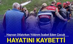 Kars'ta yaylada hayvan otlatırken yıldırım isabet eden çocuk hayatını kaybetti