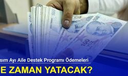 Kasım ayı aile destek programı ödemeleri ne zaman yatacak?