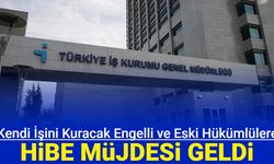 Kendi işini kuracak engelli ve eski hükümlülere 500 bin TL hibe verilecek: Başvuru nasıl yapılır?