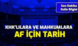 KHK'lılara ve Mahkumlara Af İçin Kulis Bilgisi: Kritik Tarih Verildi