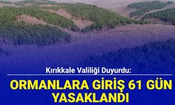 Kırıkkale Valiliği duyurdu: Ormanlara giriş 61 gün yasaklandı