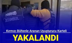 Kırmızı bültenle aranan uyuşturucu karteli yakalandı