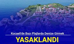 Kocaeli'de bazı plajlarda denize girmek yasaklandı