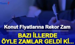 Konut Fiyatlarına Rekor Zam! Merkez Bankası Konut Fiyat Endeksi Yükseldi