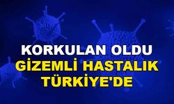 Korkulan Oldu: Gizemli Hepatit Hastalığı Türkiye'de