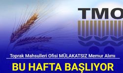 KPSS 2024/1 tercihleri ile TMO'ya memur alımı yapılacak: Başvuru tarihi belli oldu