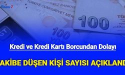 Kredi ve Kredi Kartı Borcundan Dolayı Takibe Düşen Kişi Sayısı Açıklandı
