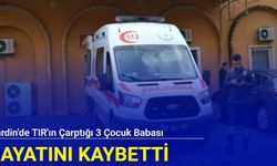 Mardin'de TIR'ın çarptığı 3 çocuk babası kurtarılamadı