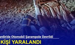 Mardin'den son dakika haberi: Otomobil şarampole devrildi: 4'ü çocuk 7 kişi yaralandı