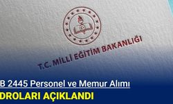 MEB 2445 personel alımı kadroları açıklandı