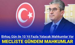 Meclis gündemi mahkumlar: Birkaç gün ile 10 yıl fazla yatacak mahkumlar var