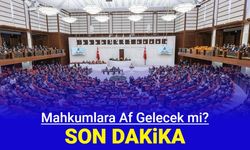 Meclis gündemi son dakika af var mı?