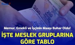 Memur, Emekli ve İşçinin Maaşı Buhar Oldu! İşte Meslek Gruplarına Göre Tablo...