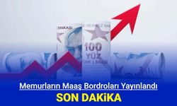 Memurların Temmuz zamlı maaşları: Bordro yayınlandı