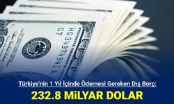 Merkez Bankası açıkladı: 1 yıl içinde ödenmesi gereken dış borç 232 milyar dolar