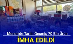 Mersin’de tarihi geçmiş 70 bin ürün imha edildi