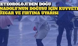 Meteoroloji'den Doğu Anadolu'nun Doğusu İçin Kuvvetli Rüzgar ve Fırtına Uyarısı