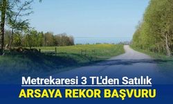 Metrekaresi 3 TL'ye satılık arsaya rekor başvuru