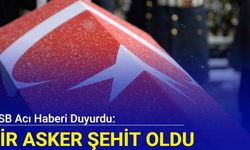 MSB acı haberi duyurdu: Bir asker şehit oldu