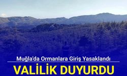 Muğla Valiliği duyurdu: Ormanlara giriş yasaklandı