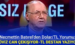 Necmettin Batırel'den dolar TL yorumu: Döviz can çekişiyor, TL destan yazıyor