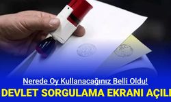 Nerede oy kullanacağım? YSK e devlet üzerinde yurt içi seçmen sorgulama ekranı açıldı
