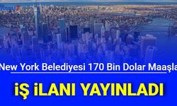 New York Belediyesi İş İlanı Yayınladı: Ayda 14 Bin Dolara ABD'ye İşçi Alımı Yapılacak