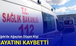 Niğde'de ağaçtan düşen kişi hayatını kaybetti