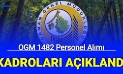 OGM 1482 personel alımı kadro dağılımı açıklandı: Orman muhafaza memuru, Mühendis, büro personeli alımı şartları 2023