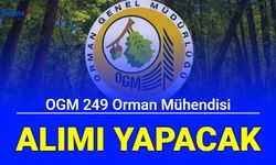 OGM 249 Orman Mühendisi alımı yapacak 2023