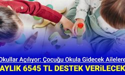 Okullar açılıyor: Çocuğu okula gidecek ailelere aylık 6545 TL destek verilecek Başvuru nasıl yapılır?