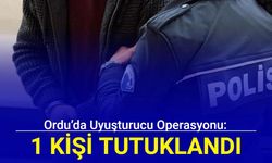 Ordu’da uyuşturucu operasyonu: 1 kişi tutuklandı