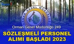 Orman Genel Müdürlüğü 249 sözleşmeli personel alımı başvurusu başladı 2023