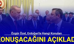 Özgür Özel, Erdoğan'la hangi konuları konuşacağını açıkladı