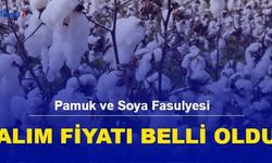 Pamuk ve Soya Fasulyesi Alım Fiyatı Belli oldu