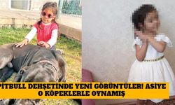 Pitbull Dehşetinde Yeni Görüntüler! Asiye O Köpeklerle Oynamış