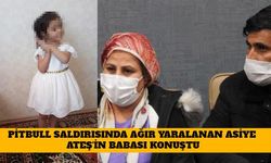 Pitbull Saldırısında Ağır Yaralanan Asiye'nin Babası Konuştu