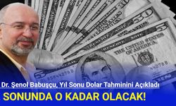 Prof. Dr. Şenol Babuşçu, Yıl Sonu Dolar Tahminini Açıkladı