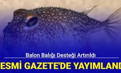 Resmi Gazete'de yayımlandı: Balon balığı desteği artırıldı