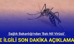 Sağlık Bakanlığı'ndan 'Batı Nil Virüsü' açıklaması